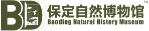 保定自然博物馆 Baoding Natural History Museum